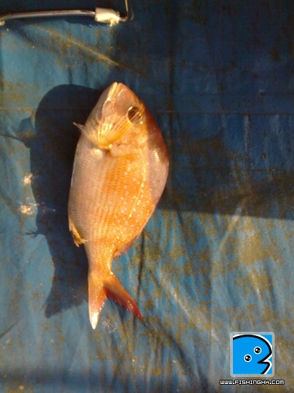 20110507823.jpg