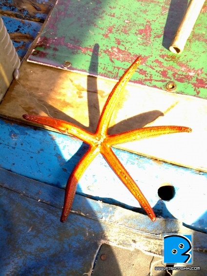 20110507815.jpg