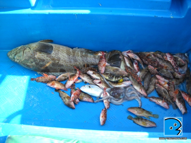 20110510_021b926573ce968de5afpiUMDXqdNK2Z.jpg