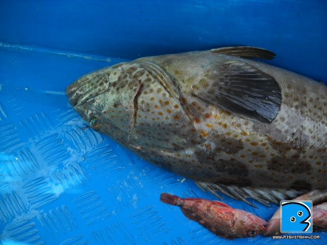 20110510_57def9e8489aebd9028c8WVteMB1KH6D.jpg