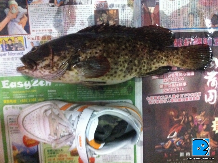 照片 041.jpg