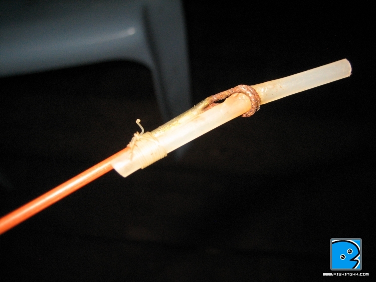 rod tip