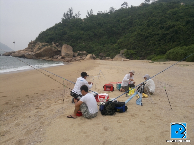 20110515308.jpg