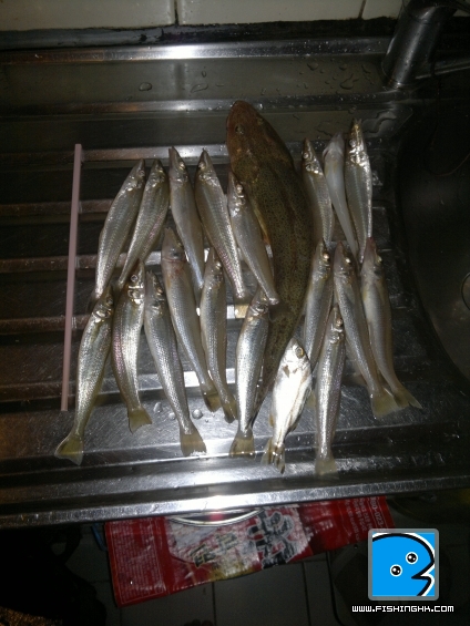 20110515322.jpg