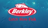 “Berkley Spinner” App’s Logo