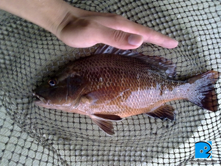 20110516230.jpg