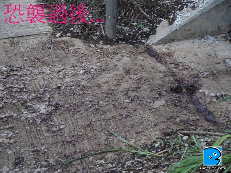 照片 042.jpg