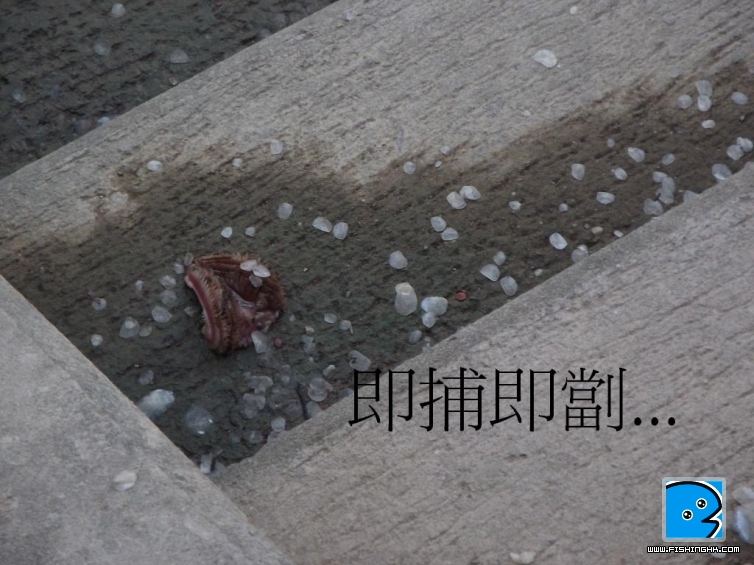照片 044.jpg