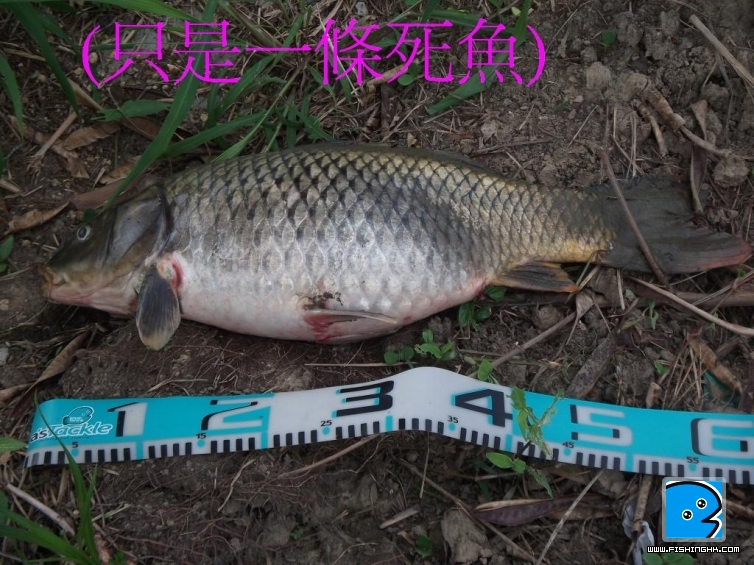 照片 040.jpg