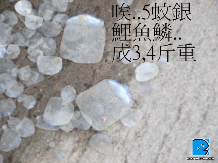照片 046.jpg