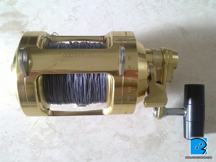 20110520097.jpg