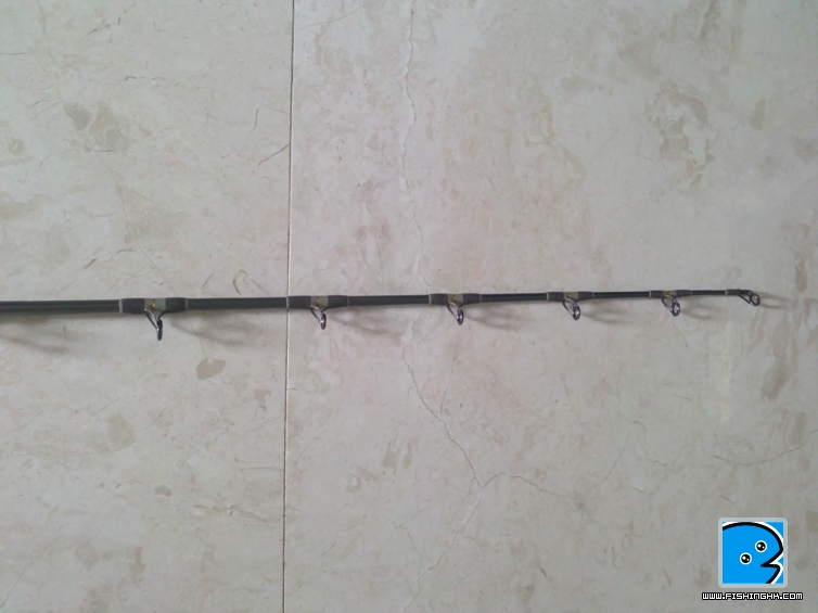 20110520096.jpg