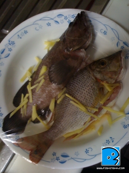 Fish2.jpg