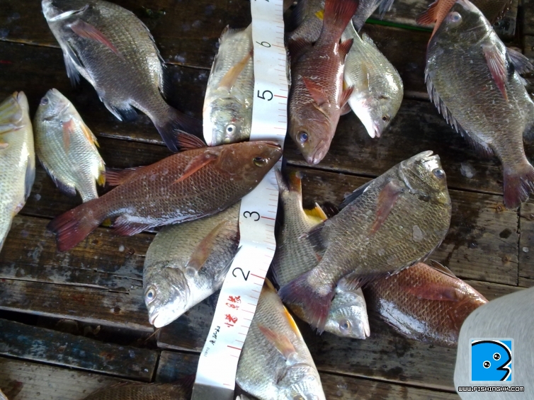 20110521061.jpg