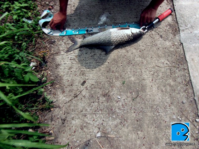 DSCF4939.jpg
