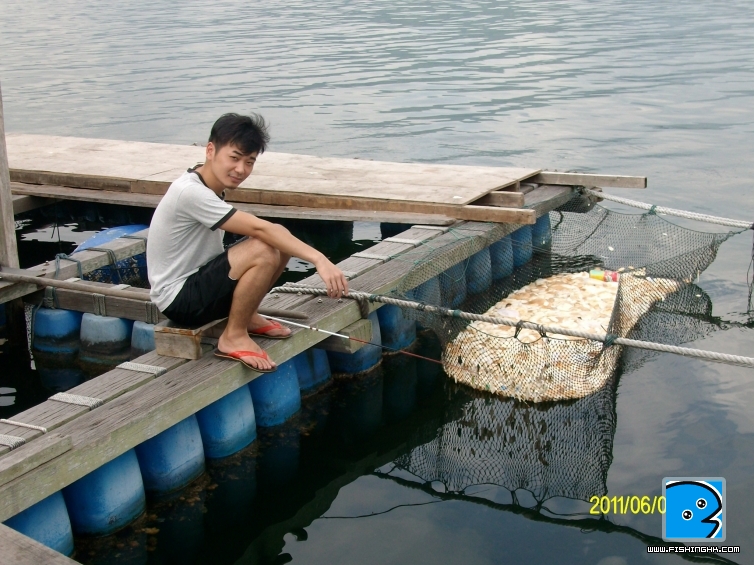 ALIM0246.JPG