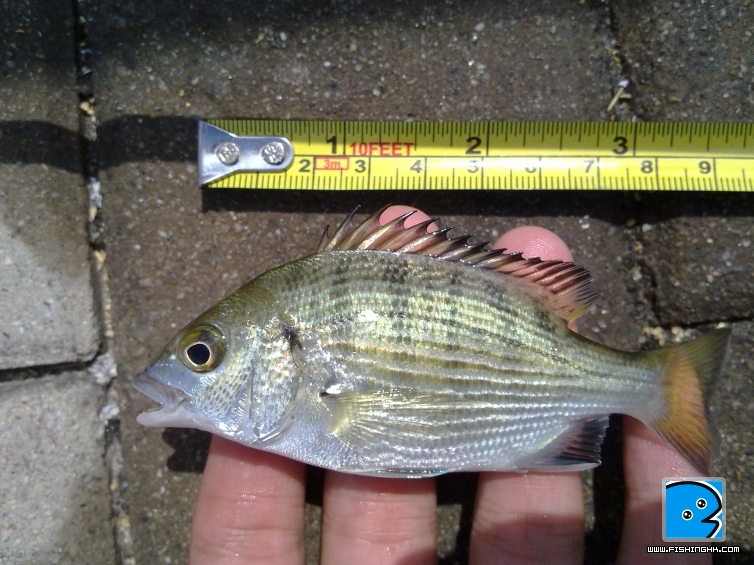20110606492.jpg