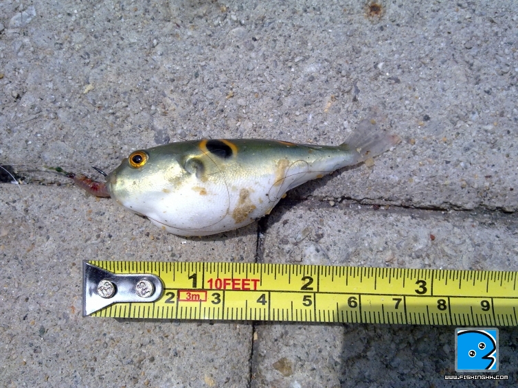 20110606493.jpg