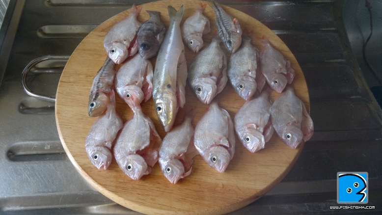 20110606600.jpg
