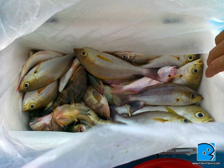20110605029.jpg