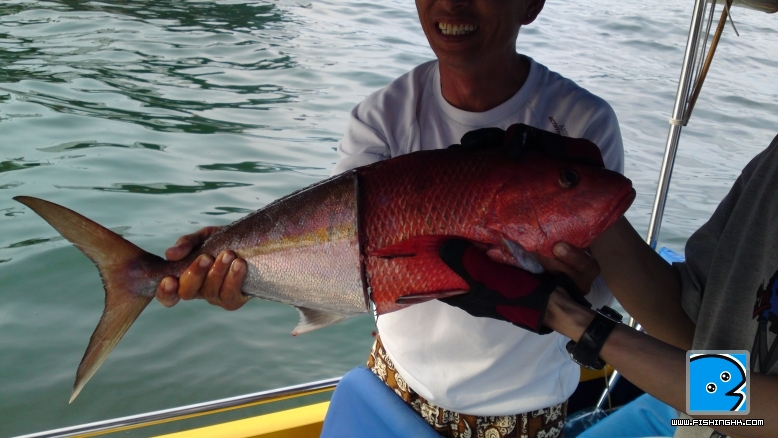 20110610033.JPG