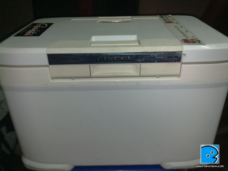20110530374.jpg