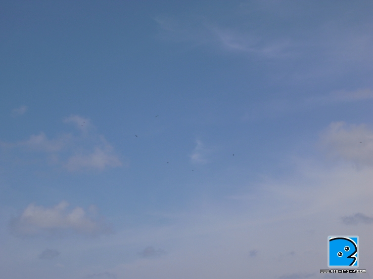R0014506.JPG