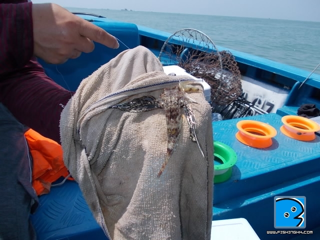 20110628_1971c73c18f1e6605383AWgsRqBXxmBA.jpg