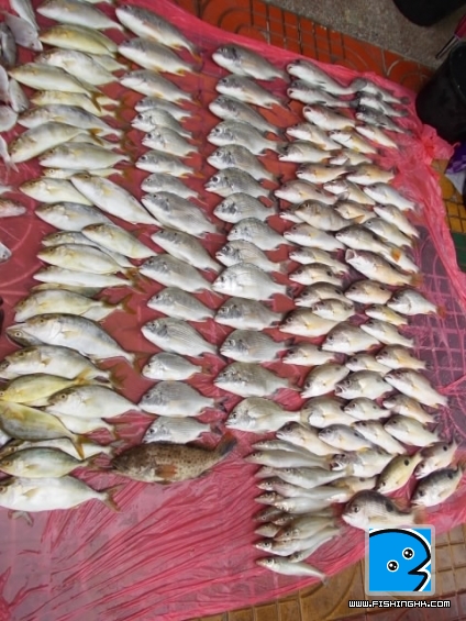 20110628_97815372d65e0a251271pGQidaQVguh4.jpg