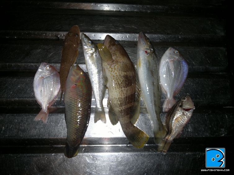 20110701952.jpg