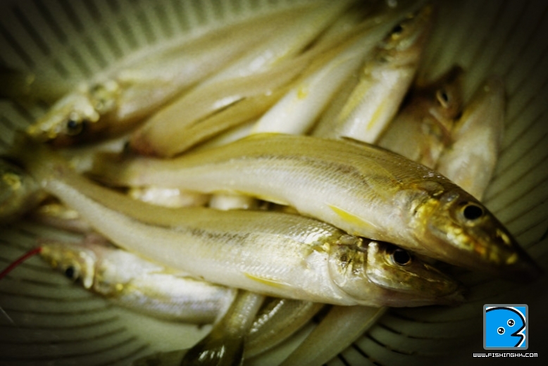 P1170162_副本.jpg