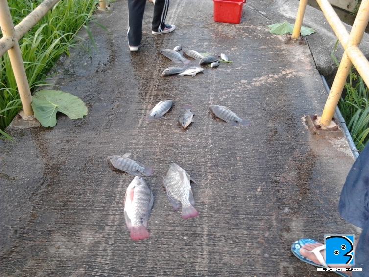 2011-07-07 18.44.07.jpg