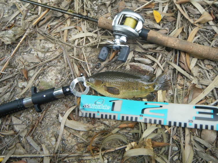 DSCF2274.JPG