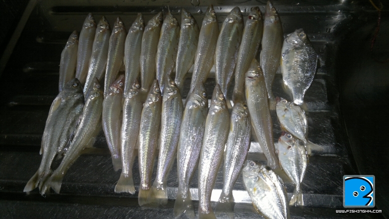 20110717031.jpg