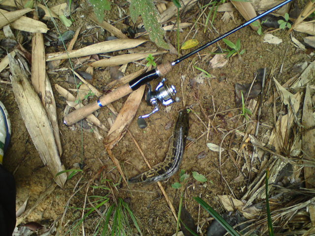 DSC04484.JPG