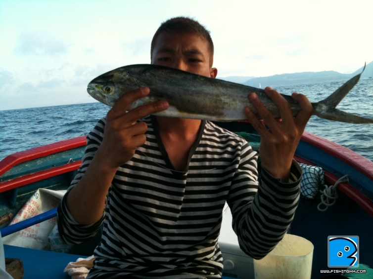 西貢31-7-2011 007.jpg