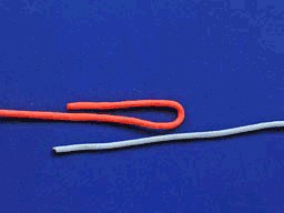 11.gif
