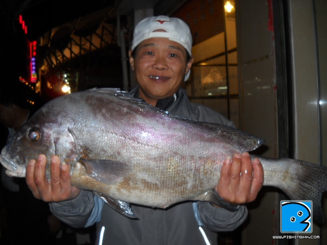 20101221_e0cfea0ca70f2c47606487gLyg9YFcqS.jpg