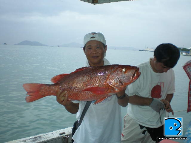 30–6–11沙巴 015.JPG