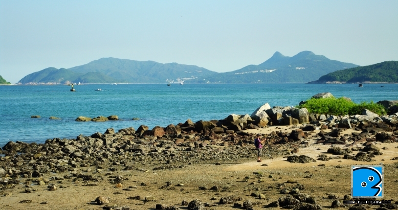 IMGP29641.jpg